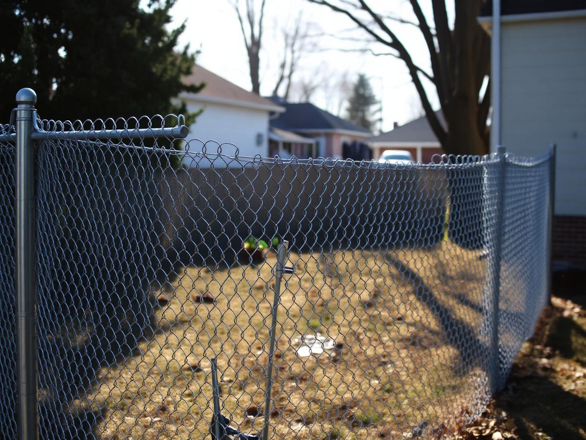 Chain-link fence around a residential yard